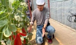 网红打卡地学校吃瓜,网红打卡地校园美食风云录